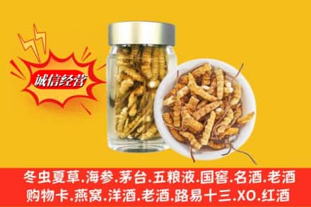 蜀山区回收散虫草