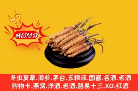 蜀山区求购回收虫草多少钱每克